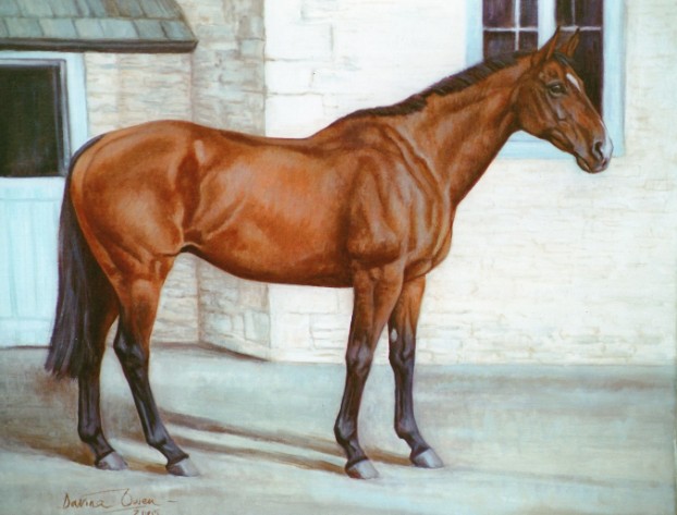 Horse Portrait. Pony Painting. Horse Picture